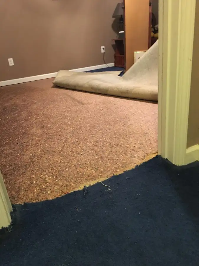 Carpet pad removal revealing water damage during Drying & Dehumidification in Bothell East