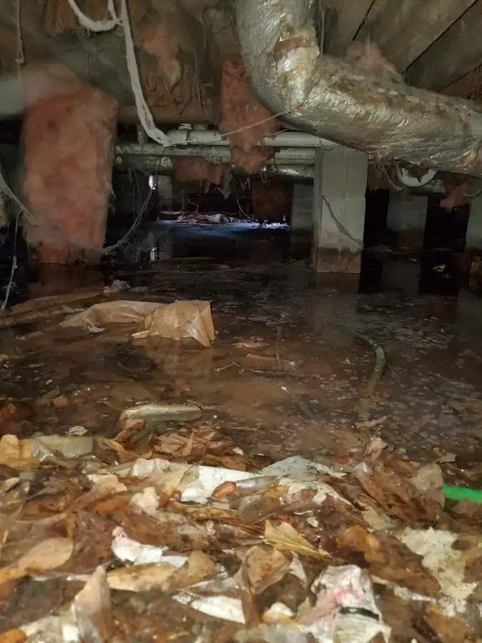 Crawl space flood assessment for Leak Detection & Repair in Bothell East